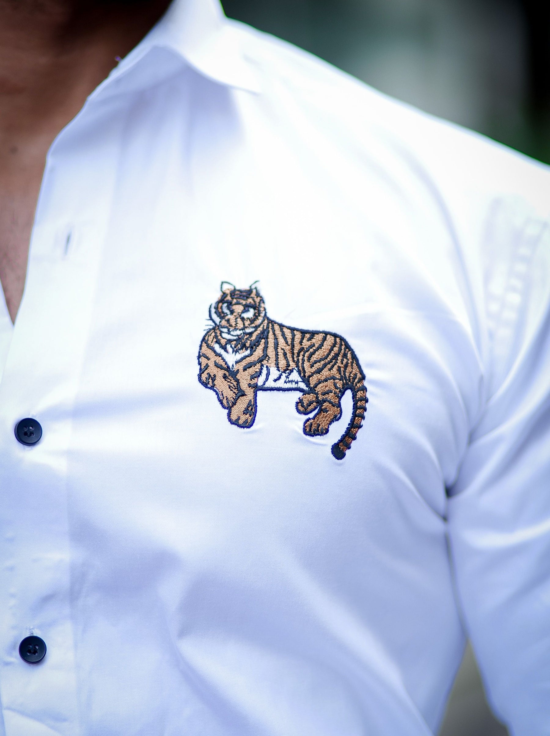 White Subtle Sheen Tiger Cub Embroidered Luxury Premium Satin Cotton Shirt